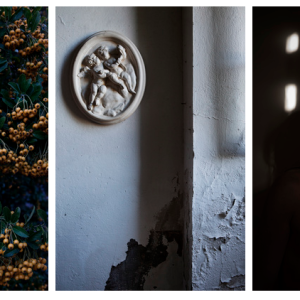 The last summer / III. La guerre 