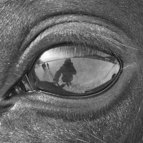 Dream which does not allow me to sleep