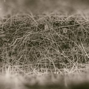 Cosa significa vita ?   ( What life means ? ) 