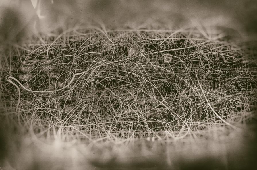 Cosa significa vita ?   ( What life means ? ) 