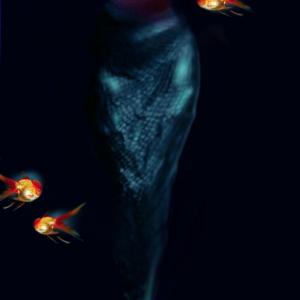 SEGNI DI DONNA Le signore dell'arte