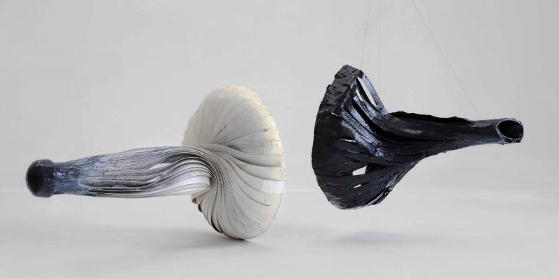 Residenza d'Artista 2009_2010: Luca Trevisani Residenza d'Artista 2009_2010: Luca Trevisani