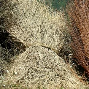 Italia. Basilicata. Potenza (1)