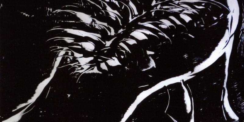 Variazioni Variazioni