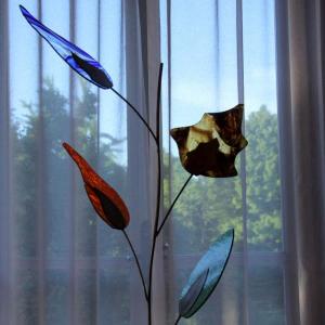 Natura:Luci e Ombre a Modena.