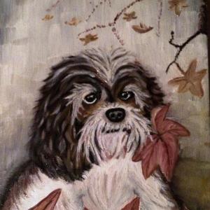 Il sorriso di Roberta per l'UNICEF - Progetto "100% Vacciniamoli tutti" Il sorriso di Roberta per l'UNICEF - Progetto "100% Vacciniamoli tutti"