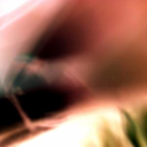 EXPO WIKI ARTE 2016 EXPO WIKI ARTE 2016