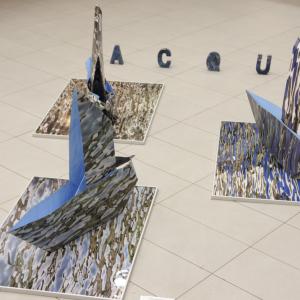 Figura Aqua, la Forma dell'acqua Figura Aqua, la Forma dell'acqua