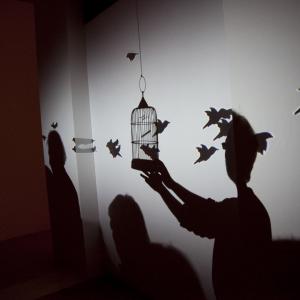 Awards and finale exhibition - Premio Celeste 2011 Awards and finale exhibition - Premio Celeste 2011