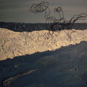 Cavallomarino in Stella confinato