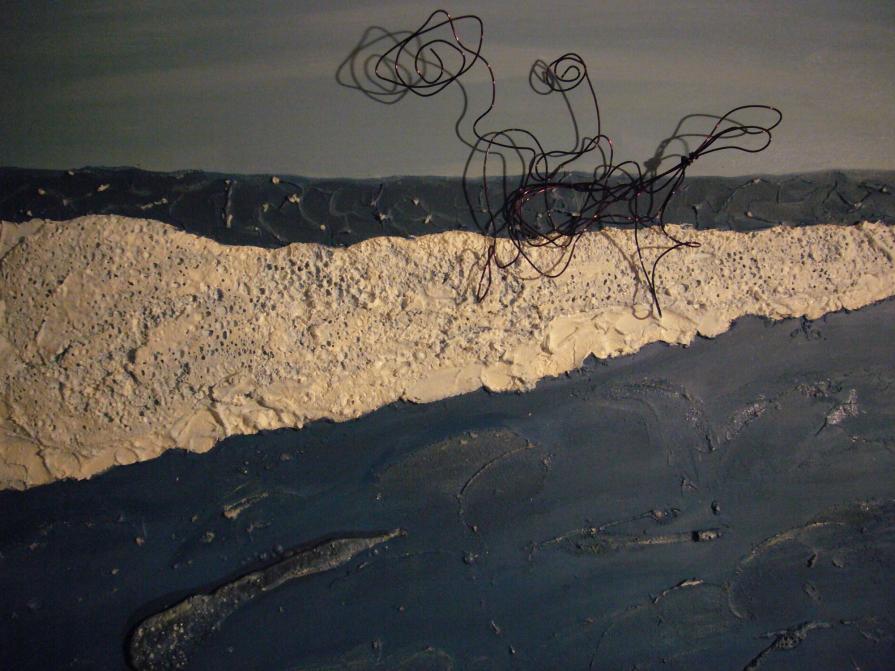 Cavallomarino in Stella confinato