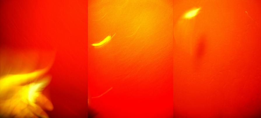 angelo a te il nostro qui...