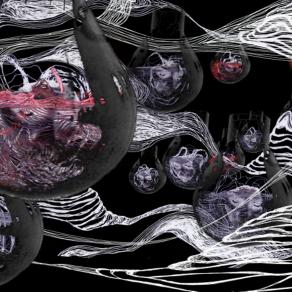 tHe bIRth of bRAinFly tHe bIRth of bRAinFly