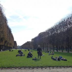 Sieste au soleil d'automne