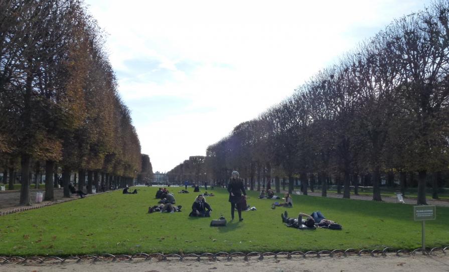 Sieste au soleil d'automne