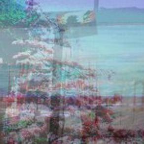 ...on a forged passport