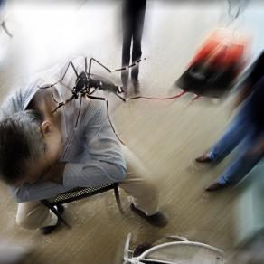 si avvicina la primavera 2012