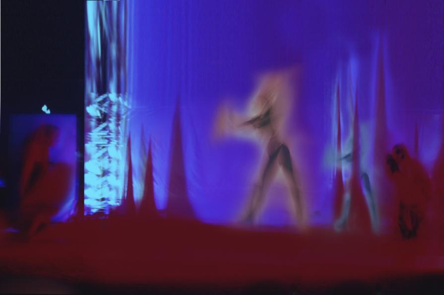 la vita è un istogramma.