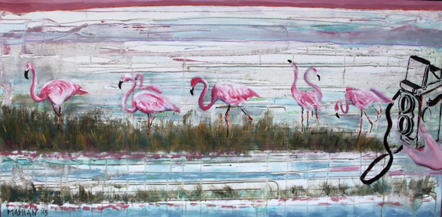 La Diaccia. Uno scatto e via.