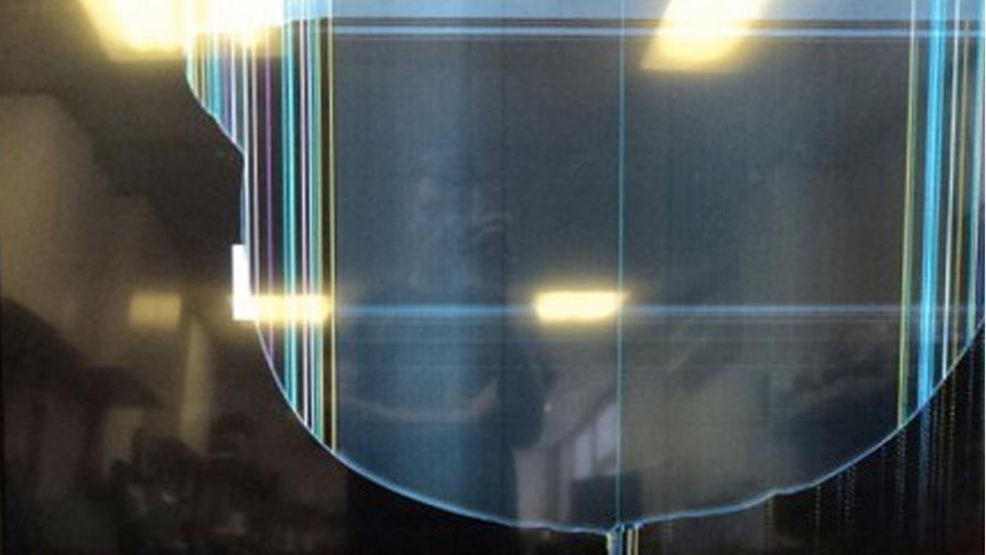 Inadvertent Selfies on eBay