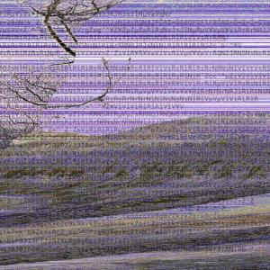 A New Sublime? - 6 A New Sublime? - 6