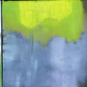 Osservazione delle singole tele.