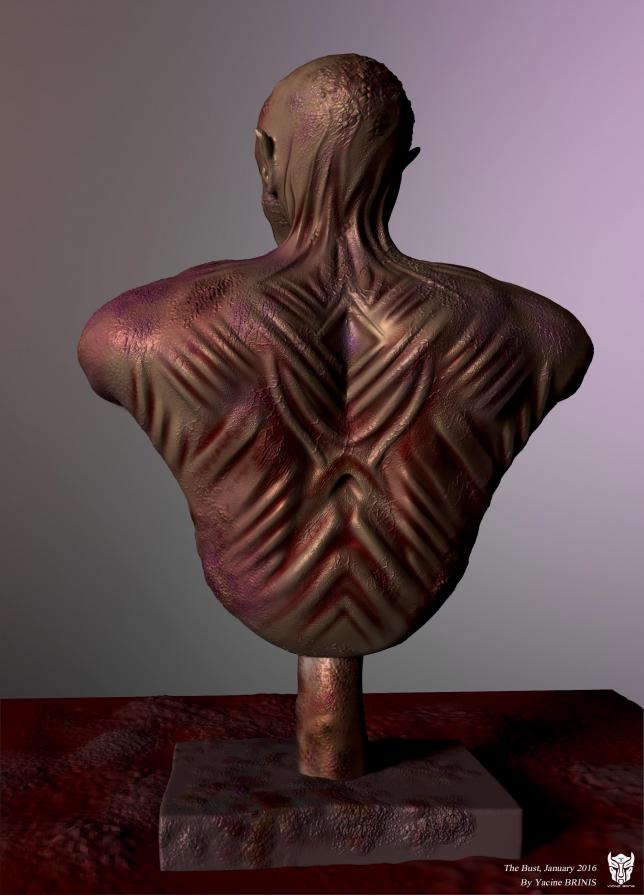 The Bust By Yacine BRINIS 2016 View 04
