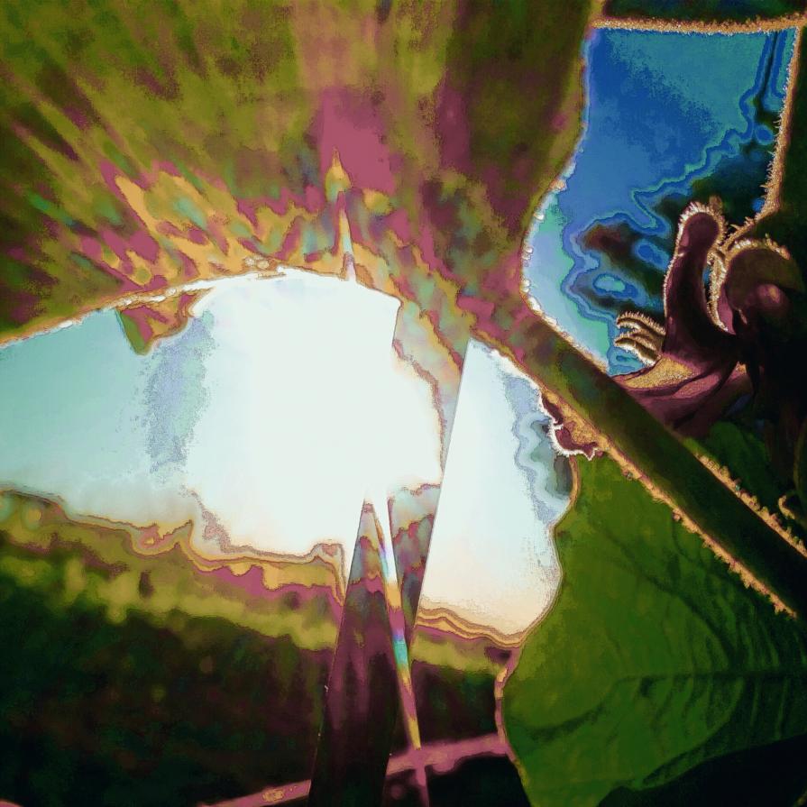 Colui che Osserva il Tramonto