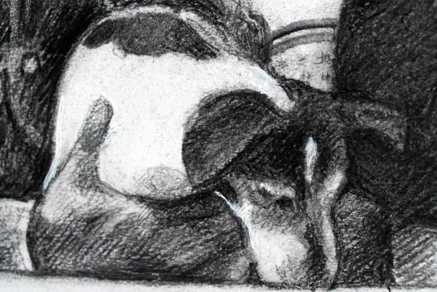 Particolare di doppio ritratto, Frida la cagnolina