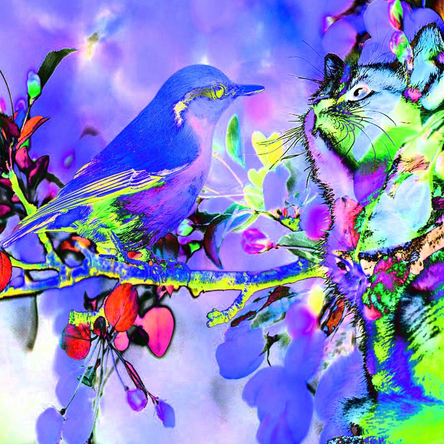 "Non scappo da una sfida per la paura. Invece, corro verso di essa, perché l'unico modo per sfuggire la paura è quello di calpestarla sotto i nostri p