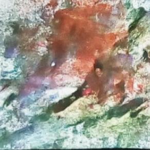 Un triangolo particolare