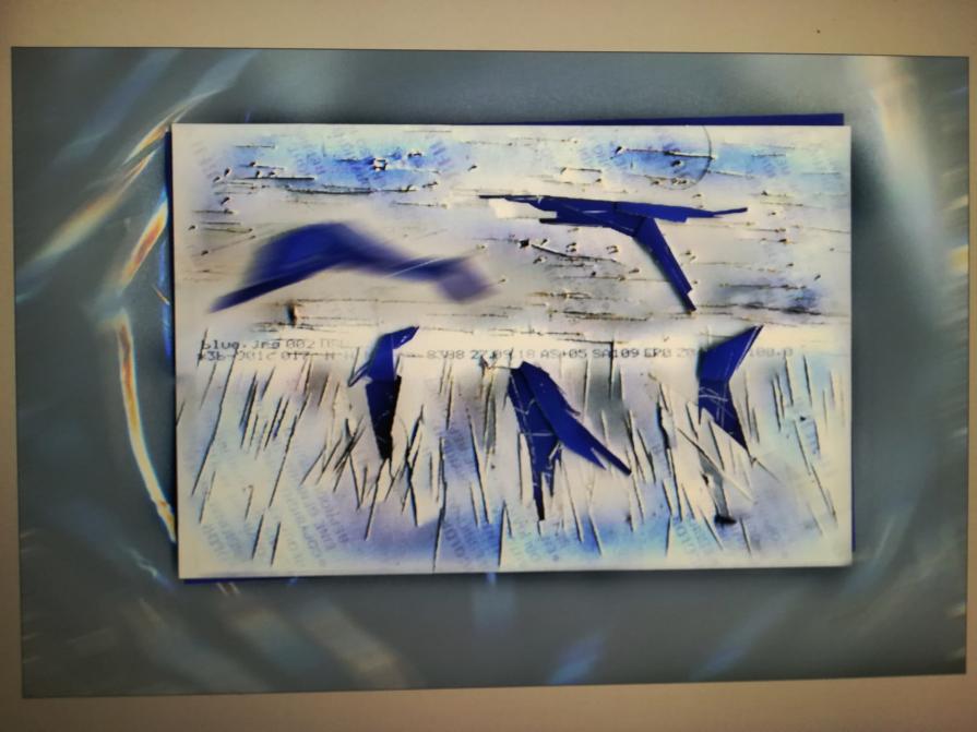 La mia area di competenza blu.