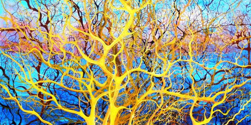 Maristella Angeli parteciperà a “Immaginario collettivo” Centro d’Arte San Vidal, Venezia Maristella Angeli parteciperà a “Immaginario collettivo” Centro d’Arte San Vidal, Venezia