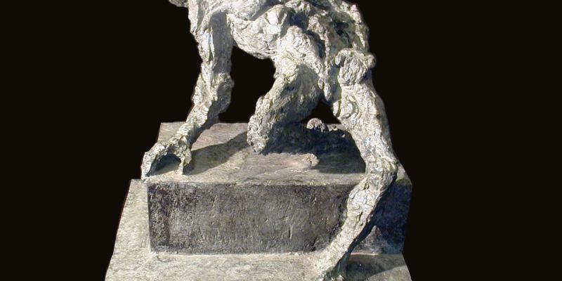 Strappi, segni e ferite Strappi, segni e ferite