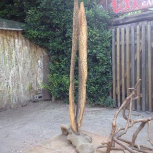 Punti di Vista - ARTE & COLORI dal Mondo