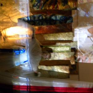 libro LA SIBILLA DI GERUSALEMME di Rosa Didonna libro LA SIBILLA DI GERUSALEMME di Rosa Didonna