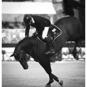 Nuovo Arezzo Equestrian Centre - località San Zeno