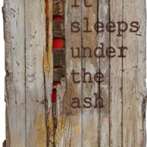 Punti di Vista - ARTE & COLORI dal Mondo