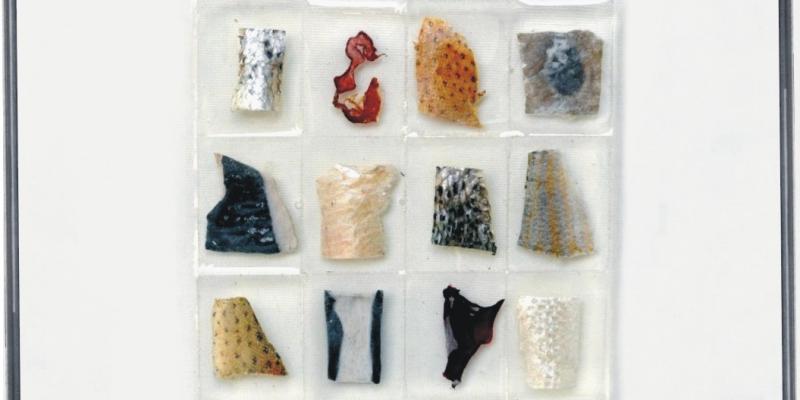 Gianni Depaoli l' intervista 