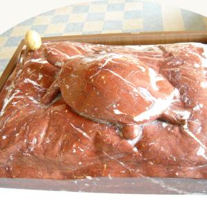 Altra Natura a Revere (mn)