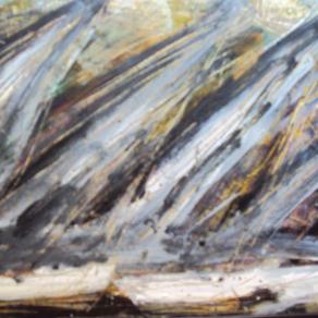 gara di barche a vela