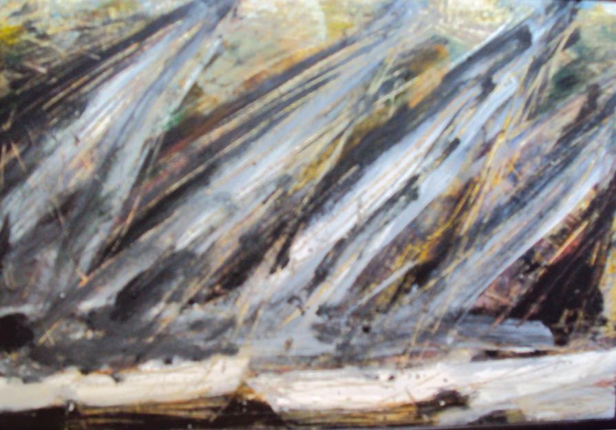 gara di barche a vela