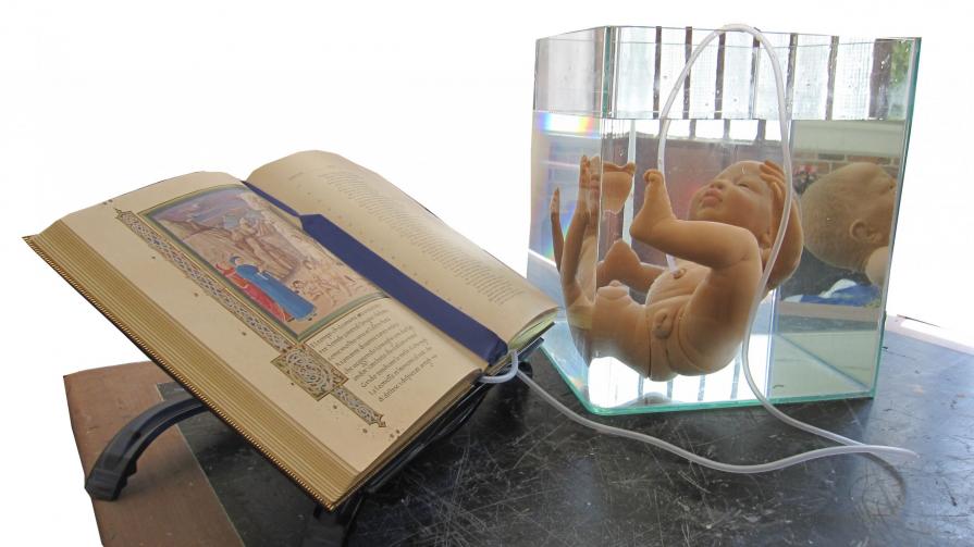 Il bambino evoluto Il bambino evoluto