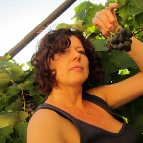 Tempo di uva (americana)