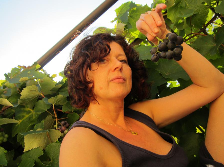 Tempo di uva (americana)