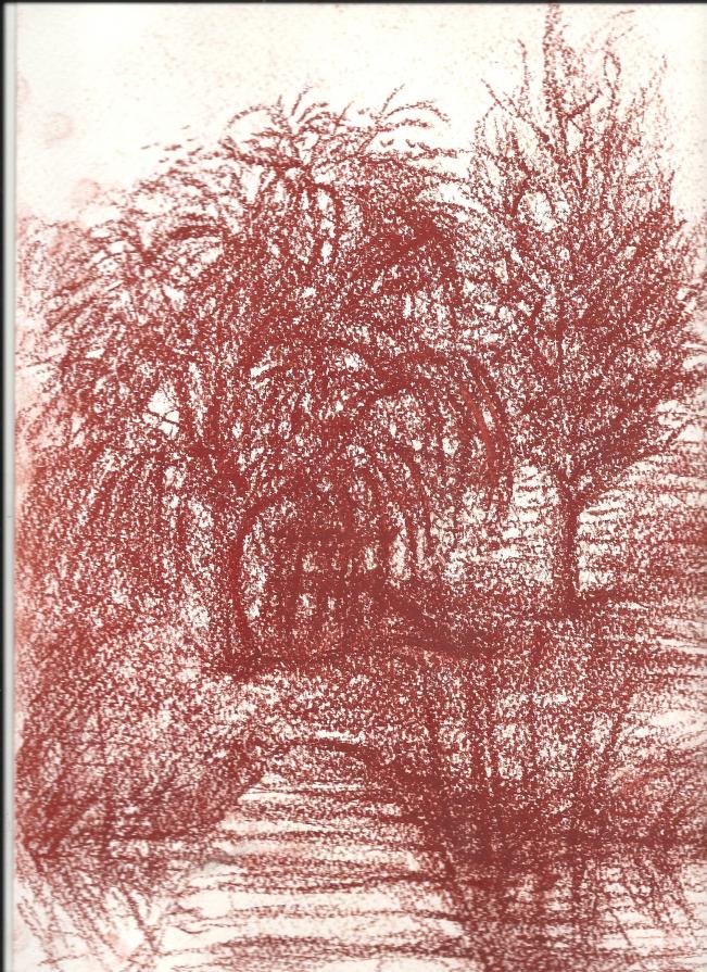 IL MIO LAGO schizzi a sanguigna