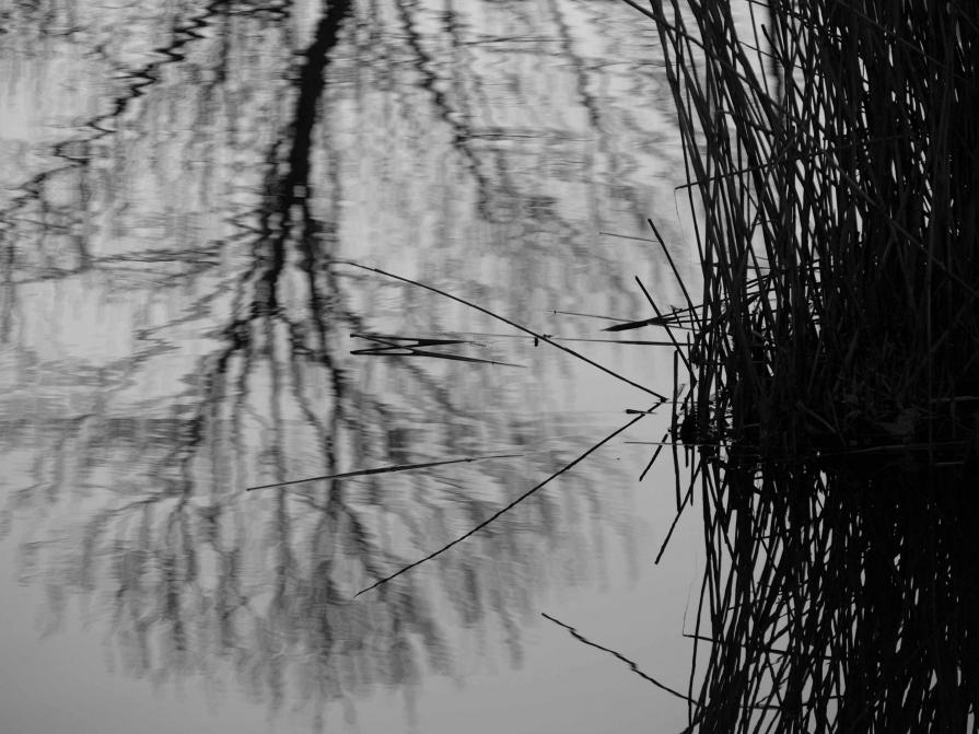 "  LENTI  GESTI  DI  VITA  POCO  VISIBILI "