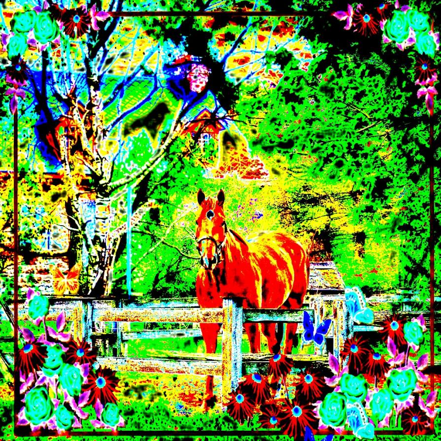 ...TI POSSO OFFRIRE UN CAFFE'?...