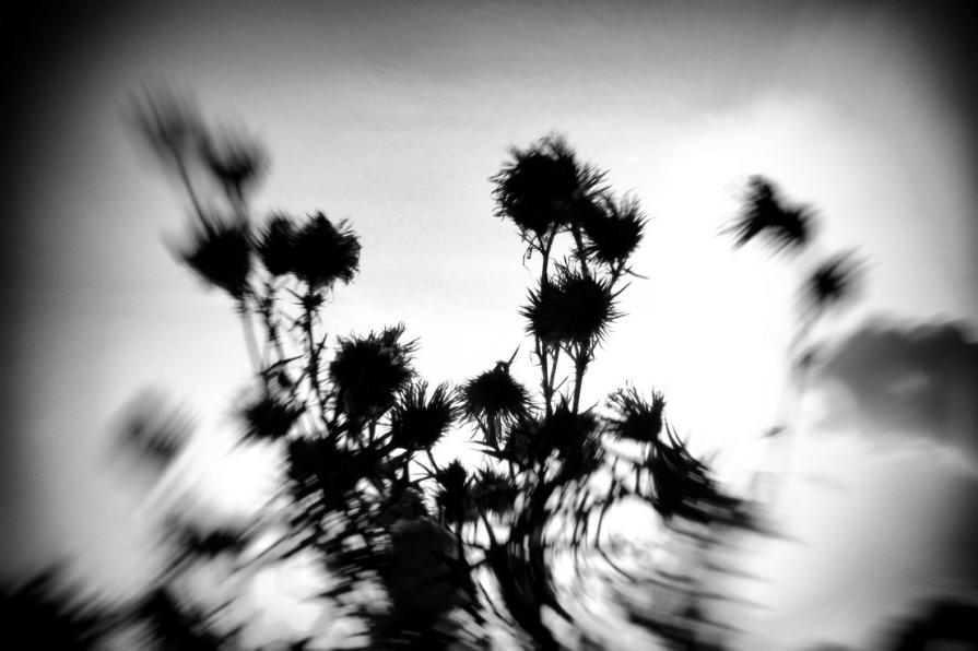 Remembering the wind 