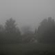 Fog!